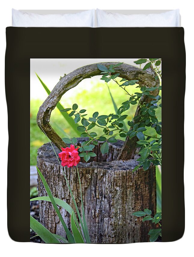 Rose On Wood Duvet Cover featuring the photograph Rose on Wood by PJQandFriends Photography