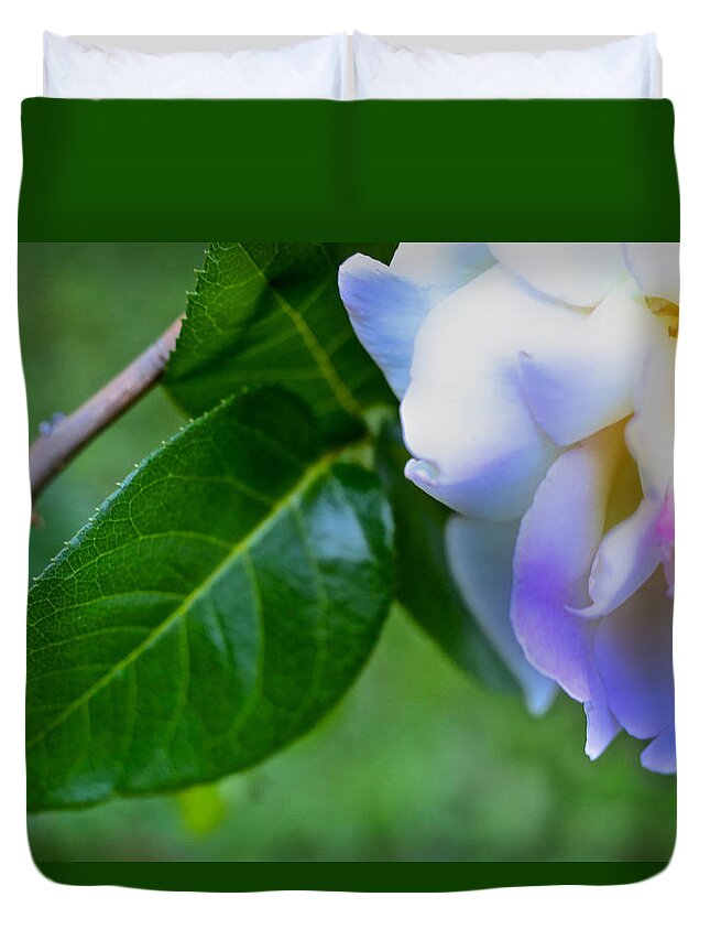 Rose Duvet Cover featuring the photograph Rose Pedals by John Meader