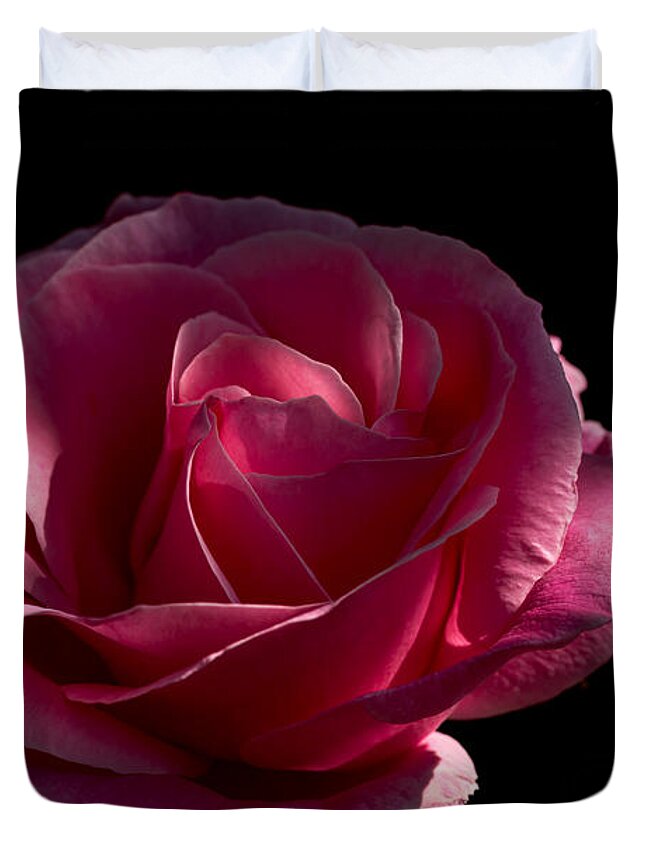 Rose Rose On Black Ii Duvet Cover featuring the photograph Rose Rose on Black II by Torbjorn Swenelius