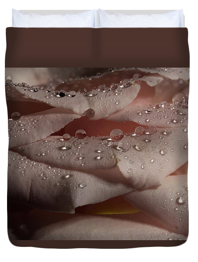 Rose Duvet Cover featuring the photograph Rose Series 1 Pink by Mike Eingle