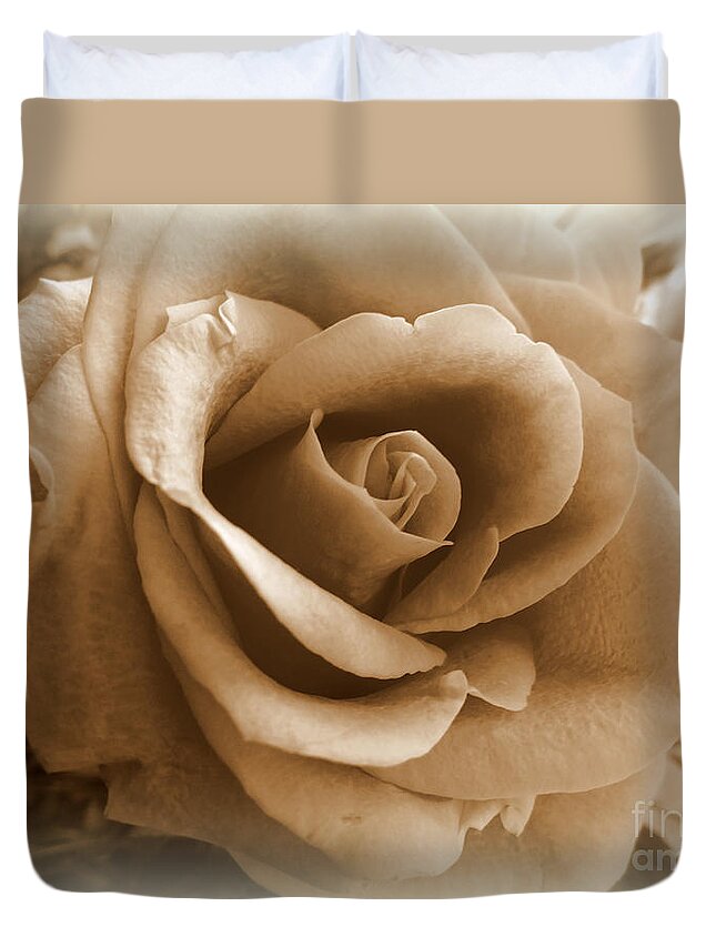 Tea-dyed Duvet Cover featuring the photograph Rose Vignette by Susan Lafleur