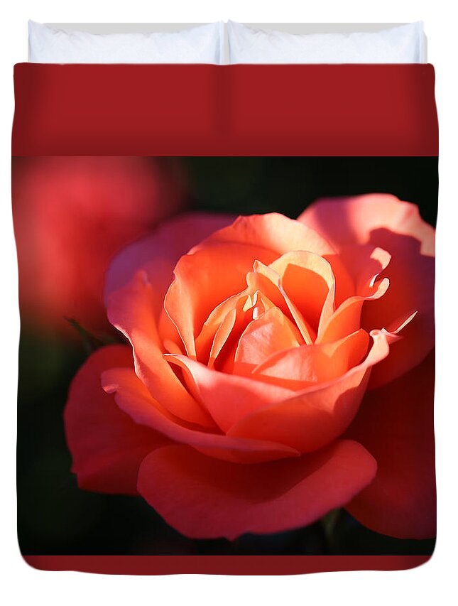 Rose Duvet Cover featuring the photograph Rose with a Glow by Tammy Pool