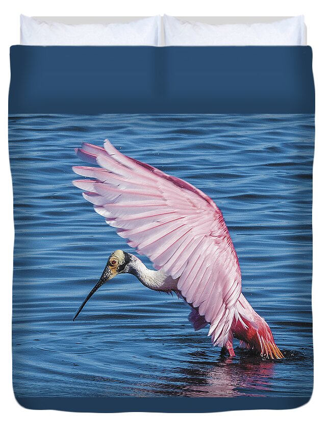 Bird Duvet Cover featuring the photograph Roseate Spoonbill Profile With Wings Over Her Head by William Bitman
