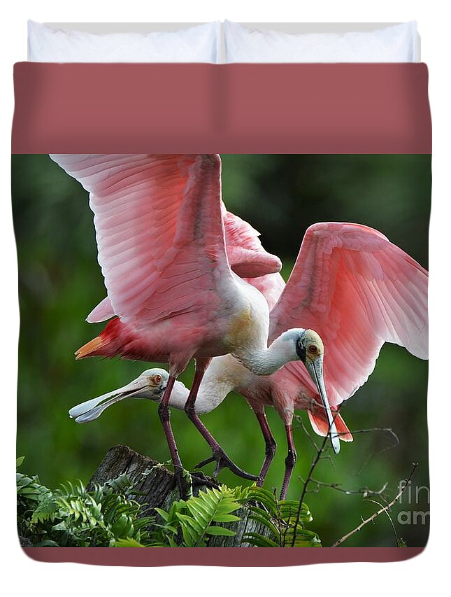 Roseate Spoonbills Duvet Cover featuring the photograph Roseate Spoonbills On Snag by Julie Adair