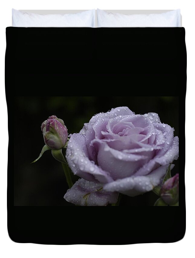 Rosebud Duvet Cover featuring the photograph Rosebud by DArcy Evans