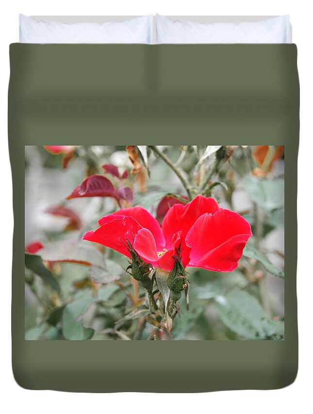 Red Rose Duvet Cover featuring the photograph Rosebuds n Red Rose by Margie Avellino