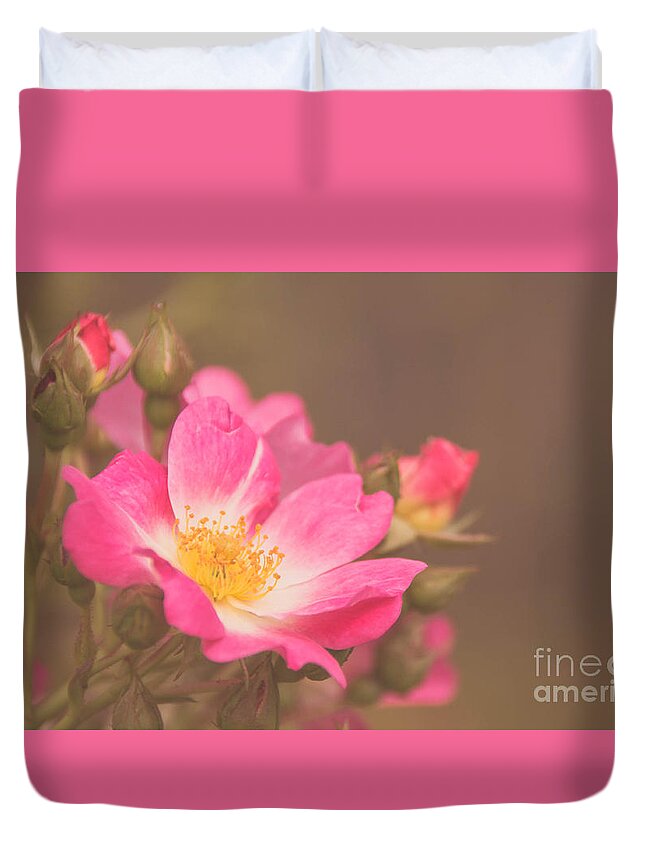 Single Duvet Cover featuring the photograph Roses 3 by Andrea Anderegg