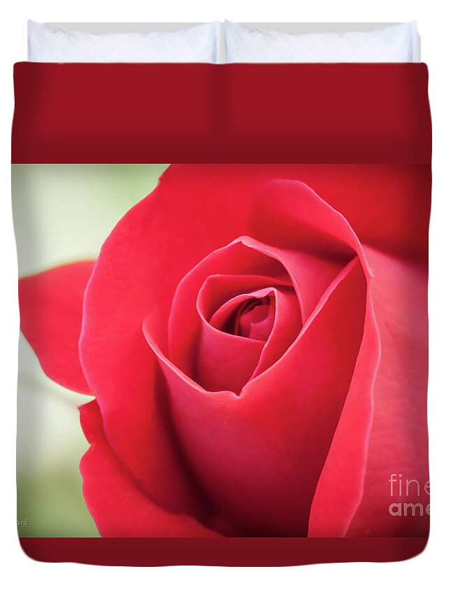 Bloom Duvet Cover featuring the photograph Roses Are Red by Todd Blanchard