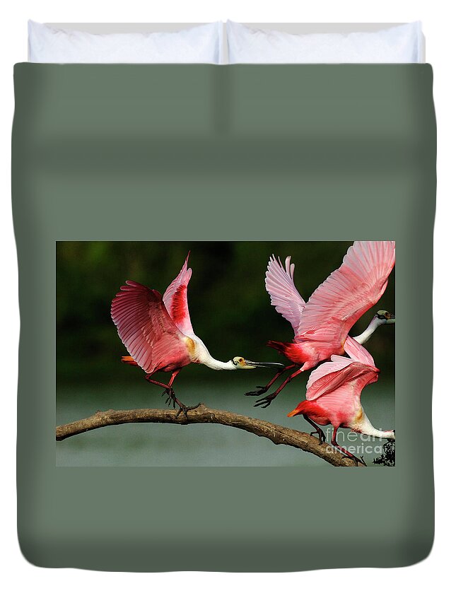 Rosiette Spoonbills Duvet Cover featuring the photograph Rosiette Spoonbills Lord Of The Branch by Bob Christopher