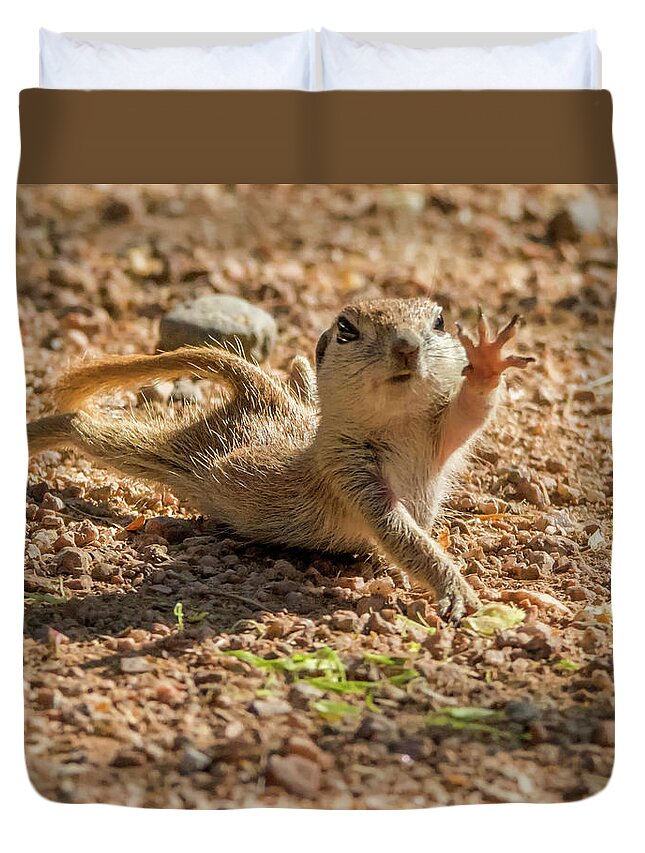 Round-tailed Duvet Cover featuring the photograph Round-tailed Ground Squirrel Stretch by Tam Ryan