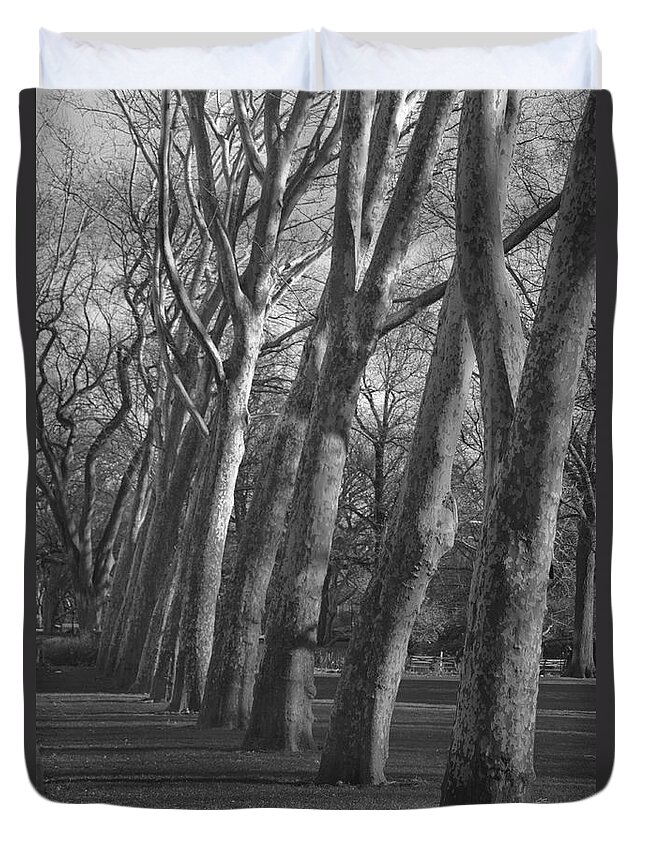 Trees Duvet Cover featuring the photograph Row Trees by Henri Irizarri