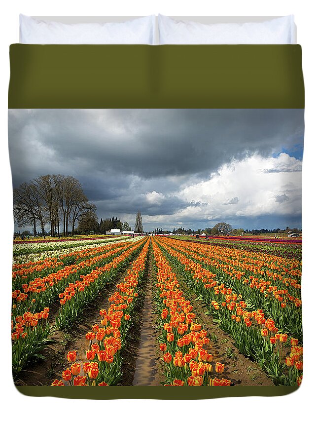 Wooden Shoe Duvet Cover featuring the photograph Rows of Colorful Tulips at Festival by David Gn
