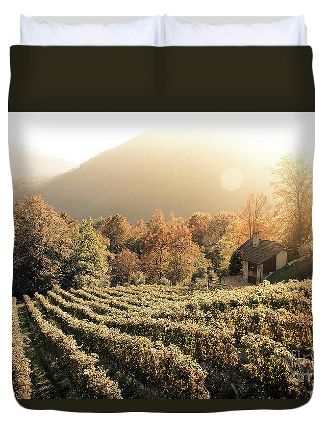 Autumn Duvet Cover featuring the photograph Rows of vine in a vineyard in ticino, switzerland at sunset by Amanda Mohler