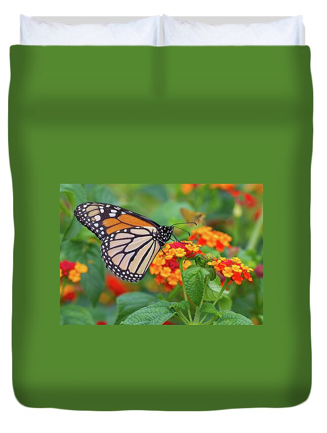 Butterfly Duvet Cover featuring the photograph Royal Butterfly by Shelley Neff