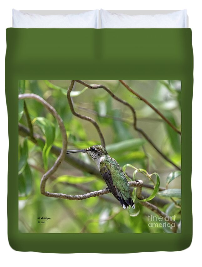 Hummingbirds Duvet Cover featuring the photograph Ruby-Throated Hummingbird - Female by DB Hayes