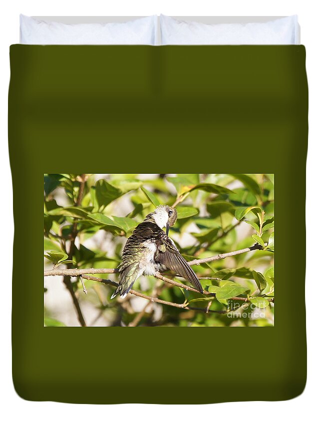 20150722-15639_v1-hbirdpreening Duvet Cover featuring the photograph Ruby-throated Hummingbird Preening 1 by Robert E Alter Reflections of Infinity