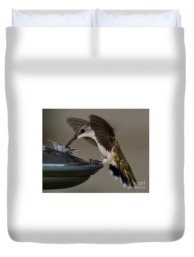 Birds Duvet Cover featuring the photograph Ruby - Throated Hummingbird by Steve Brown