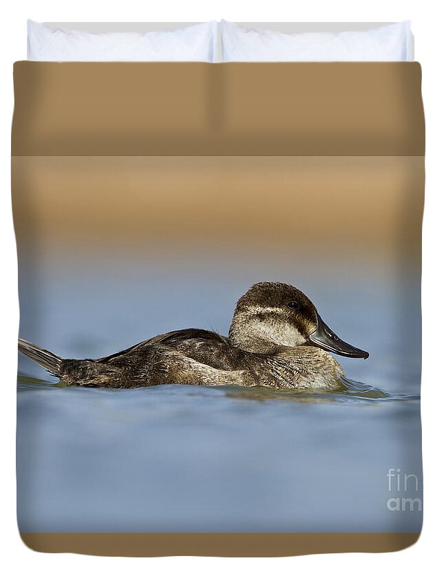 Ruddy Duck Duvet Cover featuring the photograph Ruddy on a cloud by Bryan Keil
