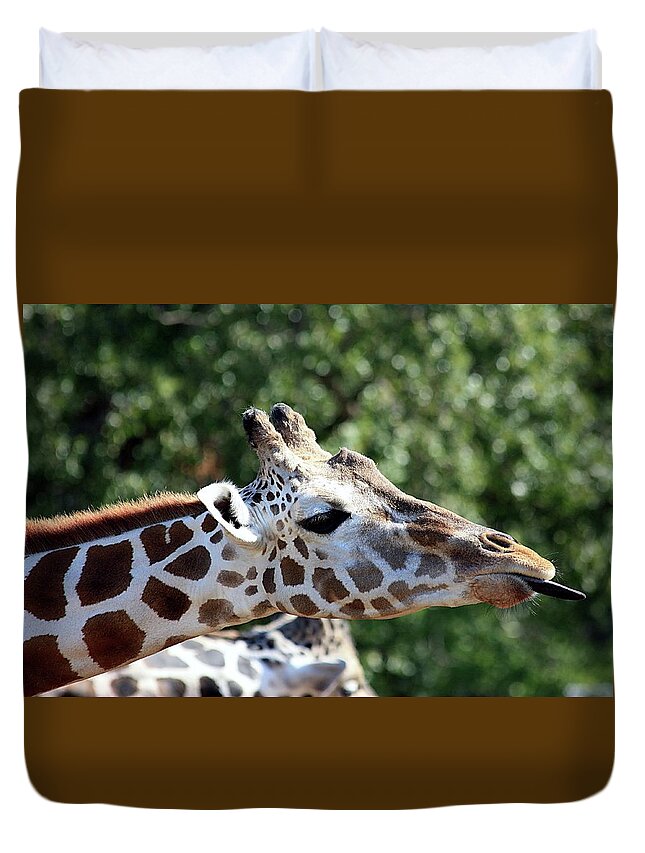 Nature Duvet Cover featuring the photograph Rude Giraffe by Sheila Brown