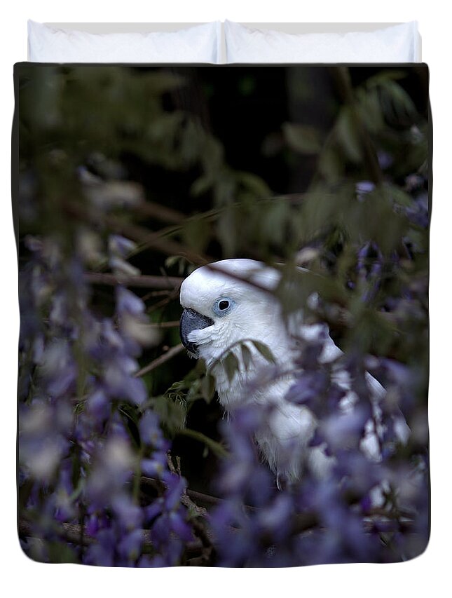 Rudy Duvet Cover featuring the photograph Rudy The Umbrella Cockatoo by Jeanette C Landstrom