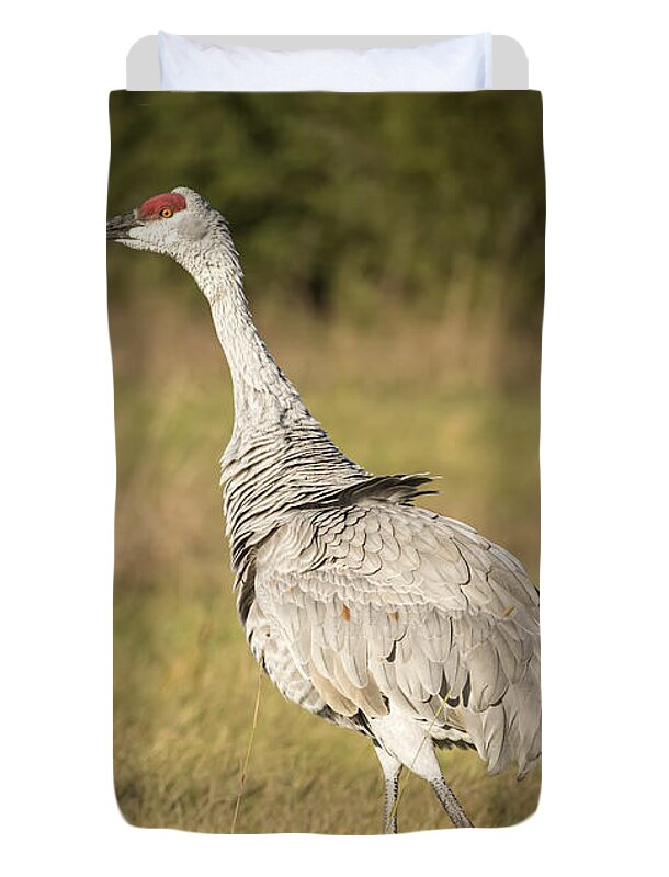 Sandhill Crane Duvet Cover featuring the photograph Ruffled Feathers by Thomas Young