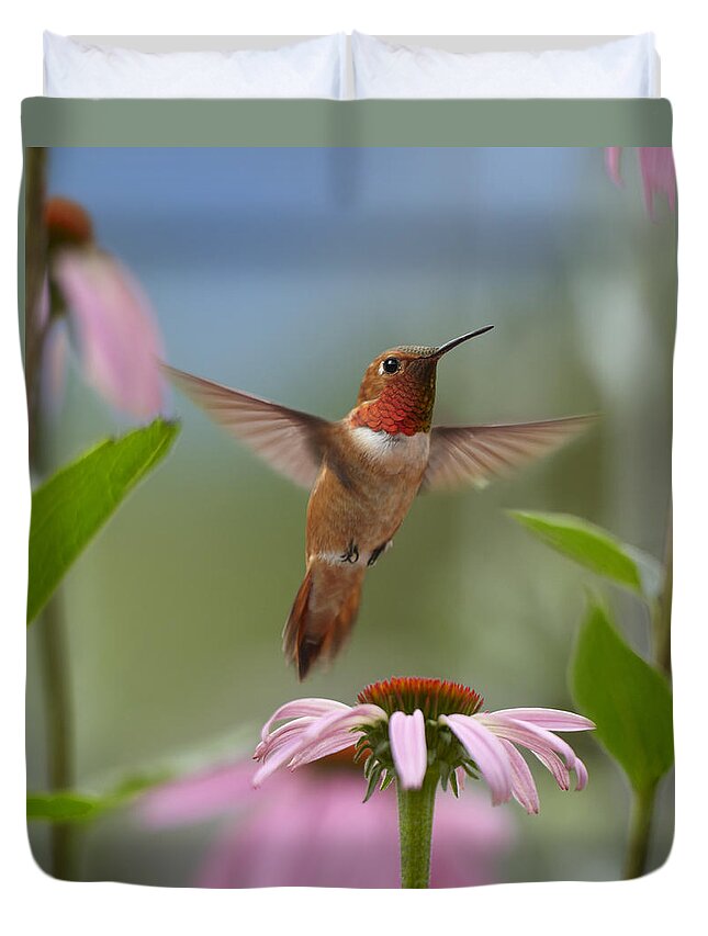 00486968 Duvet Cover featuring the photograph Rufous Hummingbird Male Feeding by Tim Fitzharris