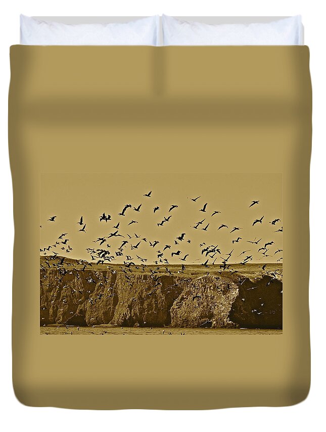 Birds Duvet Cover featuring the photograph Run For Cover by Diana Hatcher