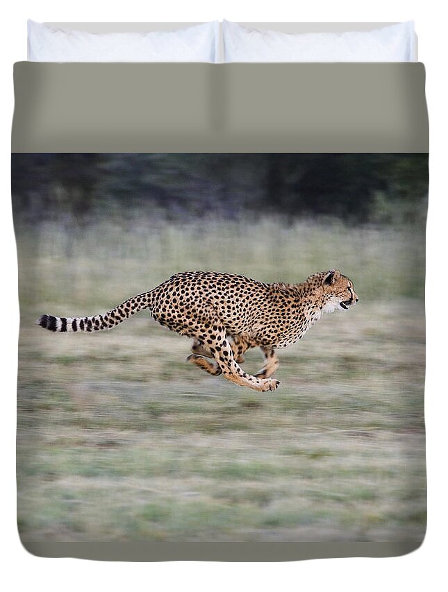 Mp Duvet Cover featuring the photograph Running Cheetah in Namibia by Suzi Eszterhas