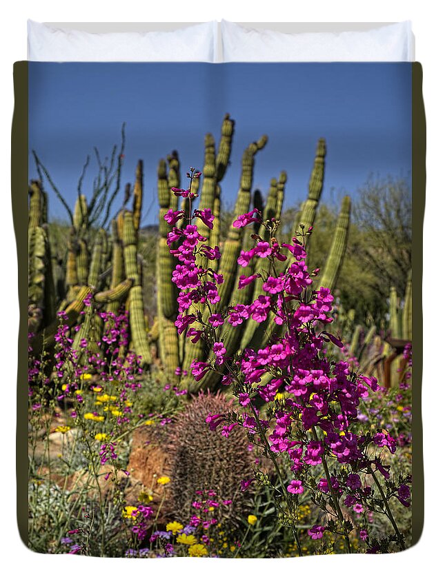 Arizona Duvet Cover featuring the photograph Rythmn Of The Desert Floor by Lucinda Walter