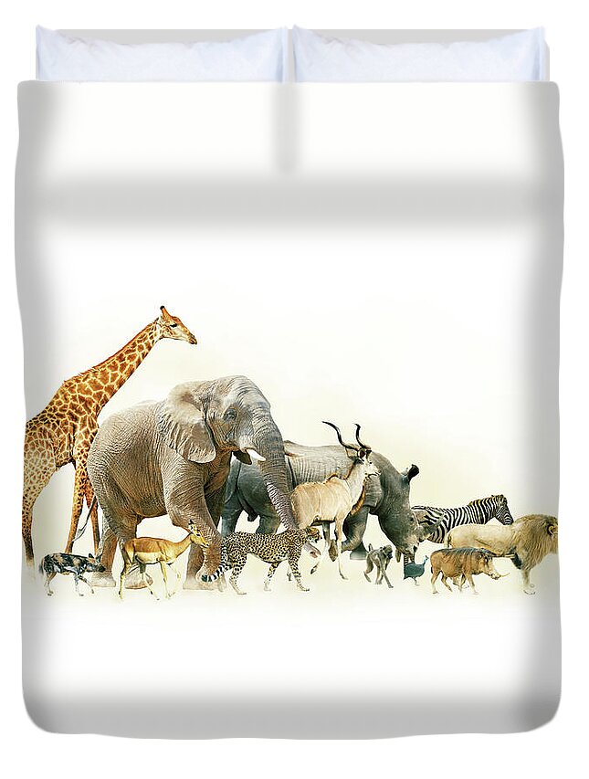 Africa Duvet Cover featuring the photograph Safari Animals Walking Side Horizontal Banner by Good Focused