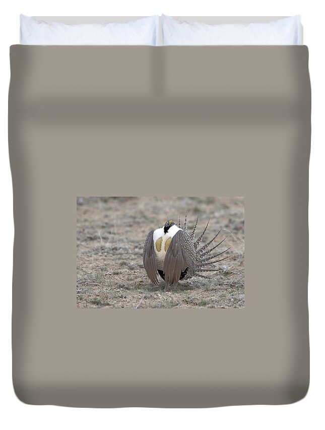 Grouse Duvet Cover featuring the photograph Sage Grouse by Gary Beeler