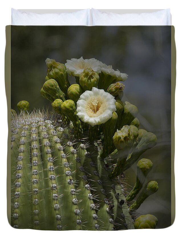 Cactus Duvet Cover featuring the photograph Sahuaro Cactus In Bloom-Signed-#3331 by J L Woody Wooden