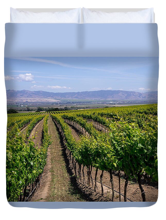 Salinas Valley Duvet Cover featuring the photograph Salinas Valley Vineyards by Derek Dean