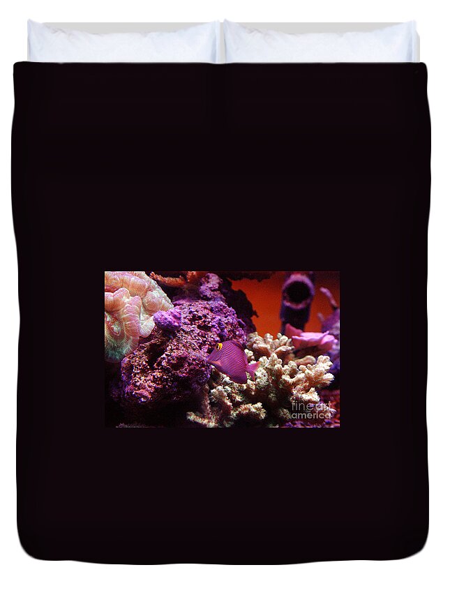 Clay Duvet Cover featuring the photograph Salt Water Aquarium by Clayton Bruster
