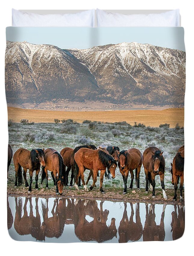  Duvet Cover featuring the photograph Samson at the pond by John T Humphrey