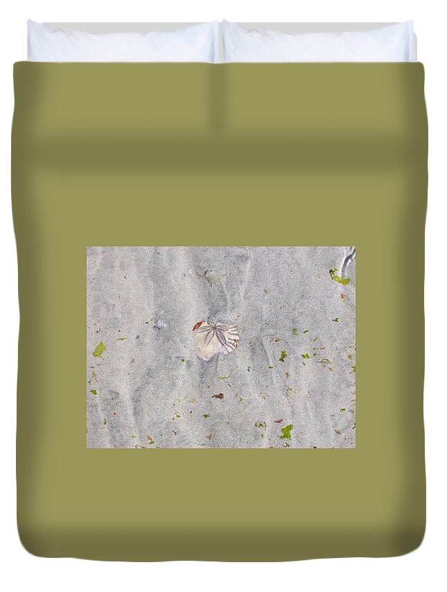 Sand Dollar Duvet Cover featuring the photograph Sand Dollar by Cheryl Trudell