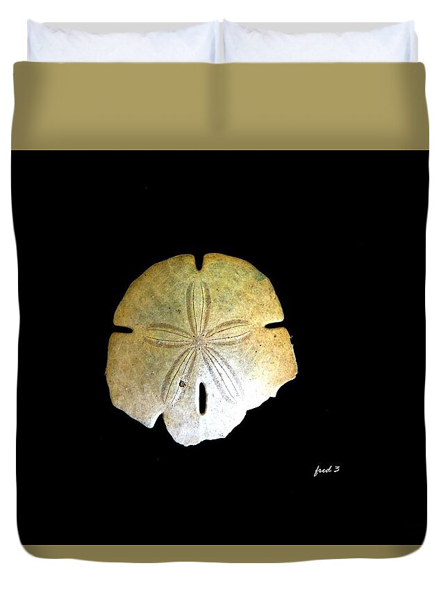 Sand Dollar Duvet Cover featuring the photograph Sand Dollar #1 by Fred Wilson