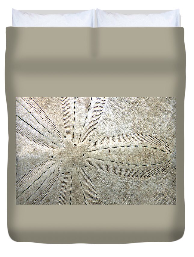 Ocean Duvet Cover featuring the photograph Sand Dollar by Ira Marcus