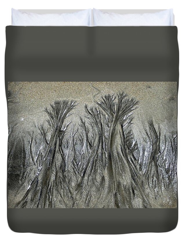 Sand Duvet Cover featuring the photograph Sand Trees by Charlene Reinauer