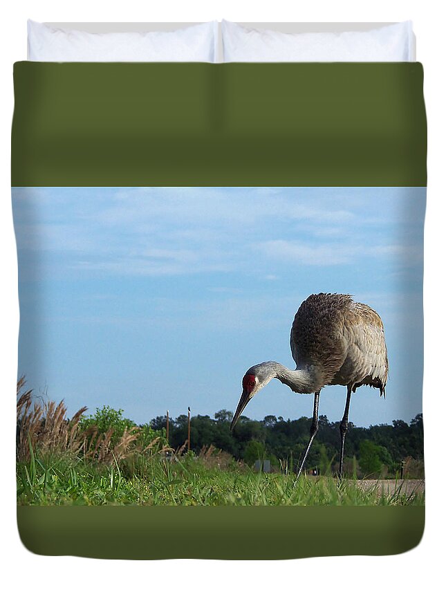 Parks And Preserves Duvet Cover featuring the photograph Sandhill Crane 018 by Christopher Mercer
