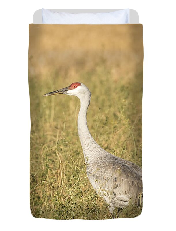 Sandhill Crane Duvet Cover featuring the photograph Sandhill Crane 2015-4 by Thomas Young