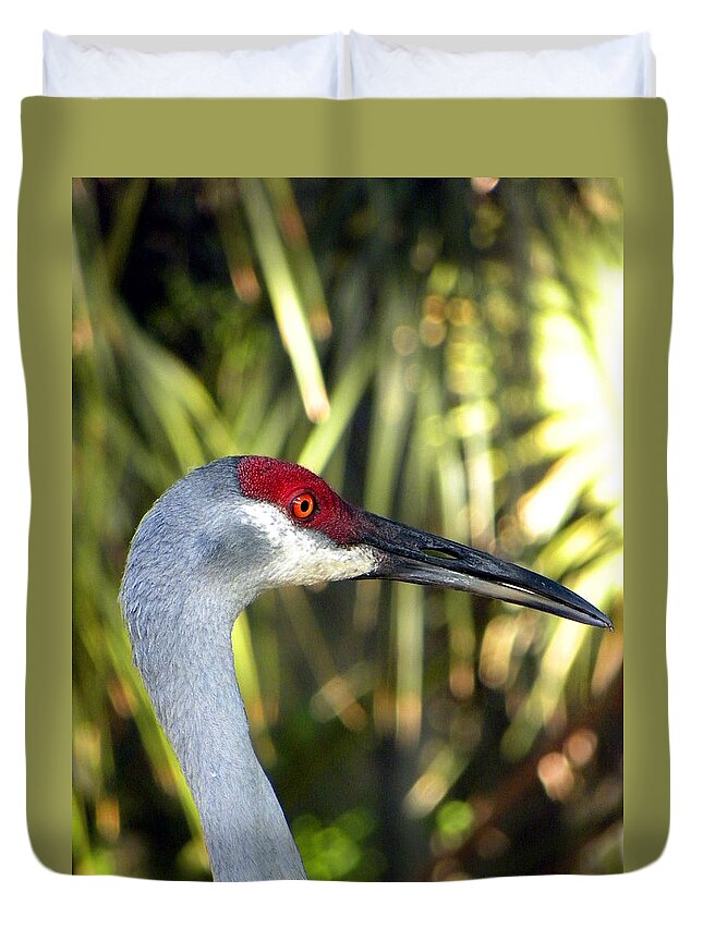 Parks And Preserves Duvet Cover featuring the photograph Sandhill Crane Head 000 by Christopher Mercer