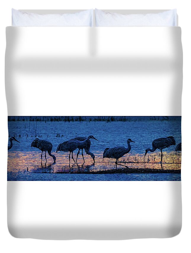 Animals Duvet Cover featuring the photograph Sandhill Cranes at Twilight by Bruce Bonnett
