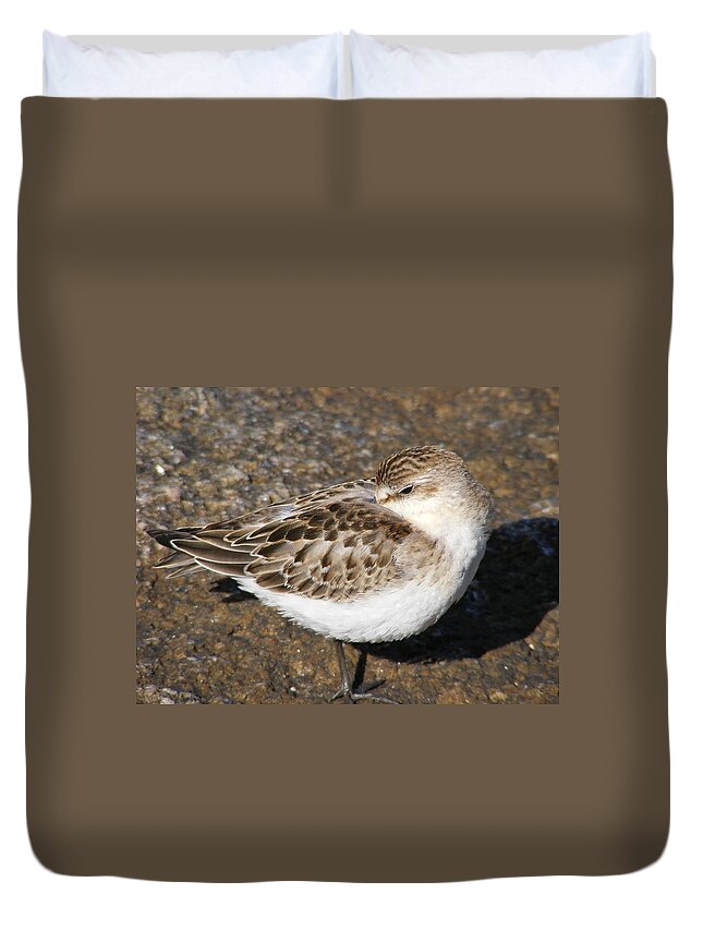 Sandpiper Duvet Cover featuring the photograph Sandpiper by Doug Mills