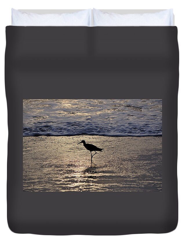 Sandpiper Duvet Cover featuring the photograph Sandpiper On A Golden Beach by Kenneth Albin