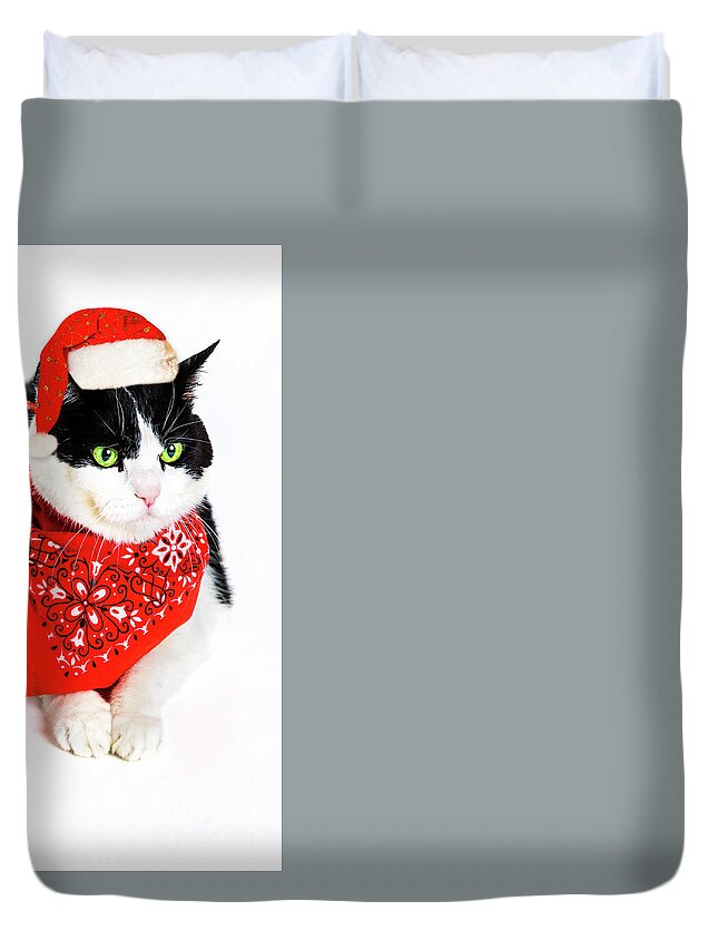 Cat Duvet Cover featuring the photograph Santa Claus Cat by Benny Marty