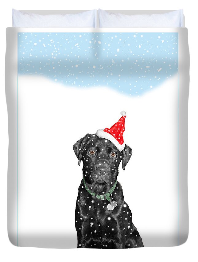 Christmas Duvet Cover featuring the photograph Santa Dog in the Snow by Mal Bray