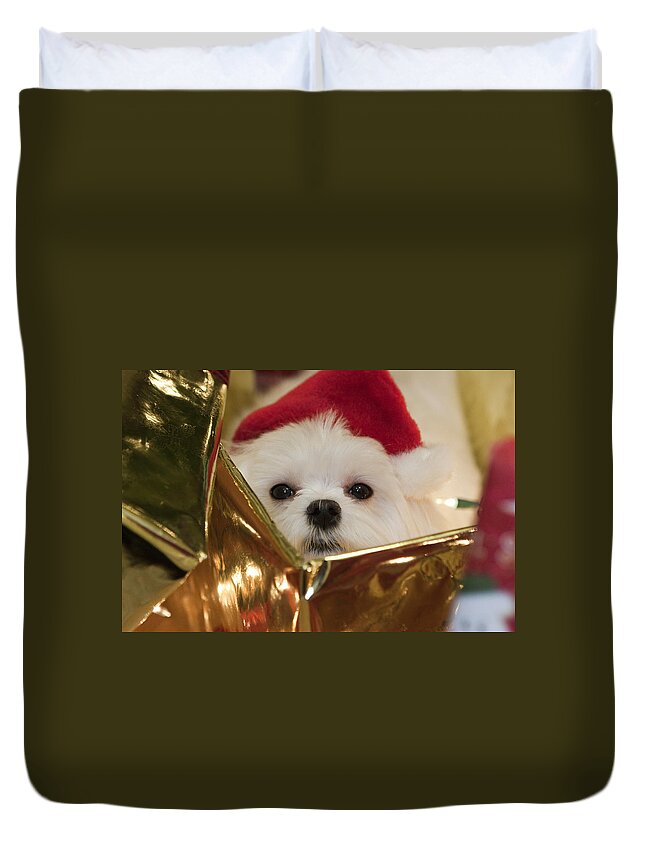 Maltese Duvet Cover featuring the photograph Santa Paws by Leslie Leda