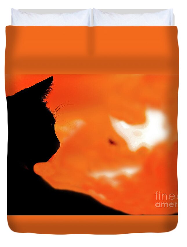 Cat Duvet Cover featuring the photograph Saphira at Sunset by Kim Henderson