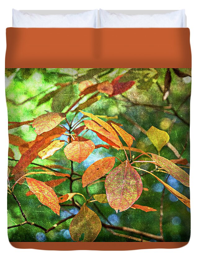 Nature Duvet Cover featuring the photograph Sassafras Leafs Texture 7K_DSC0933_16-10-30 by Greg Kluempers